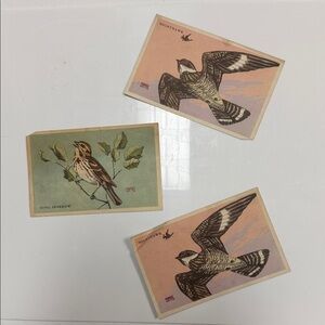 Vintage Bird Illustration Set by Marge Opitz